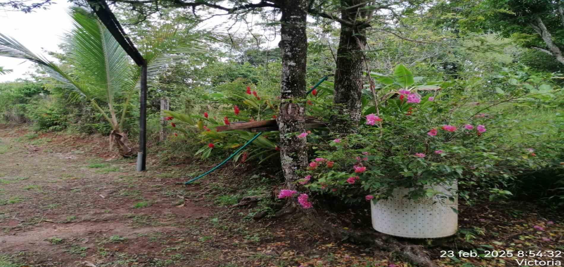 Foto de Finca en Venta en Victoria, Victoria - 12 - 279061622
