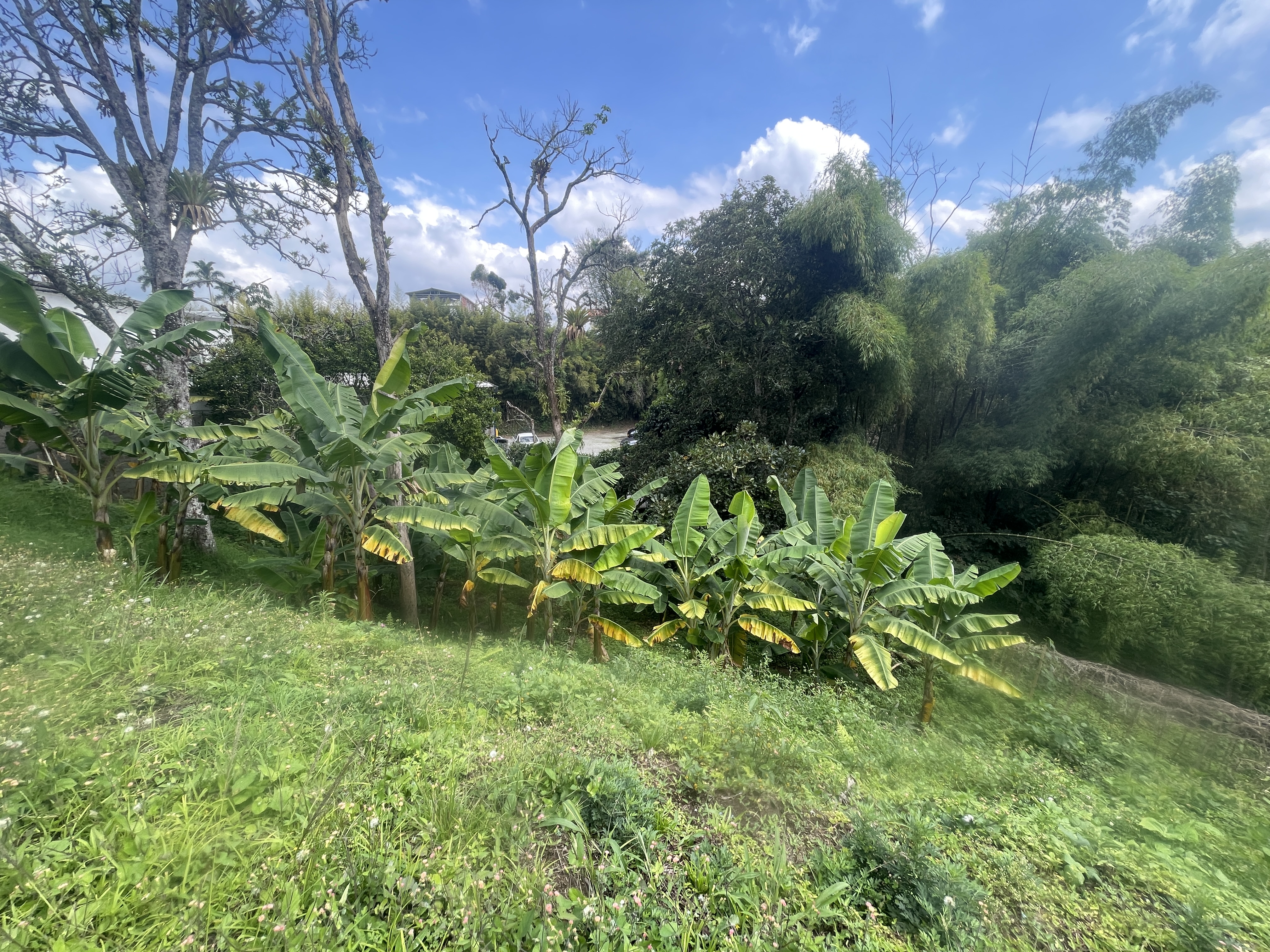 Foto de Lote / terreno en Venta en Av bolivar, Armenia  - 21 - 279065795