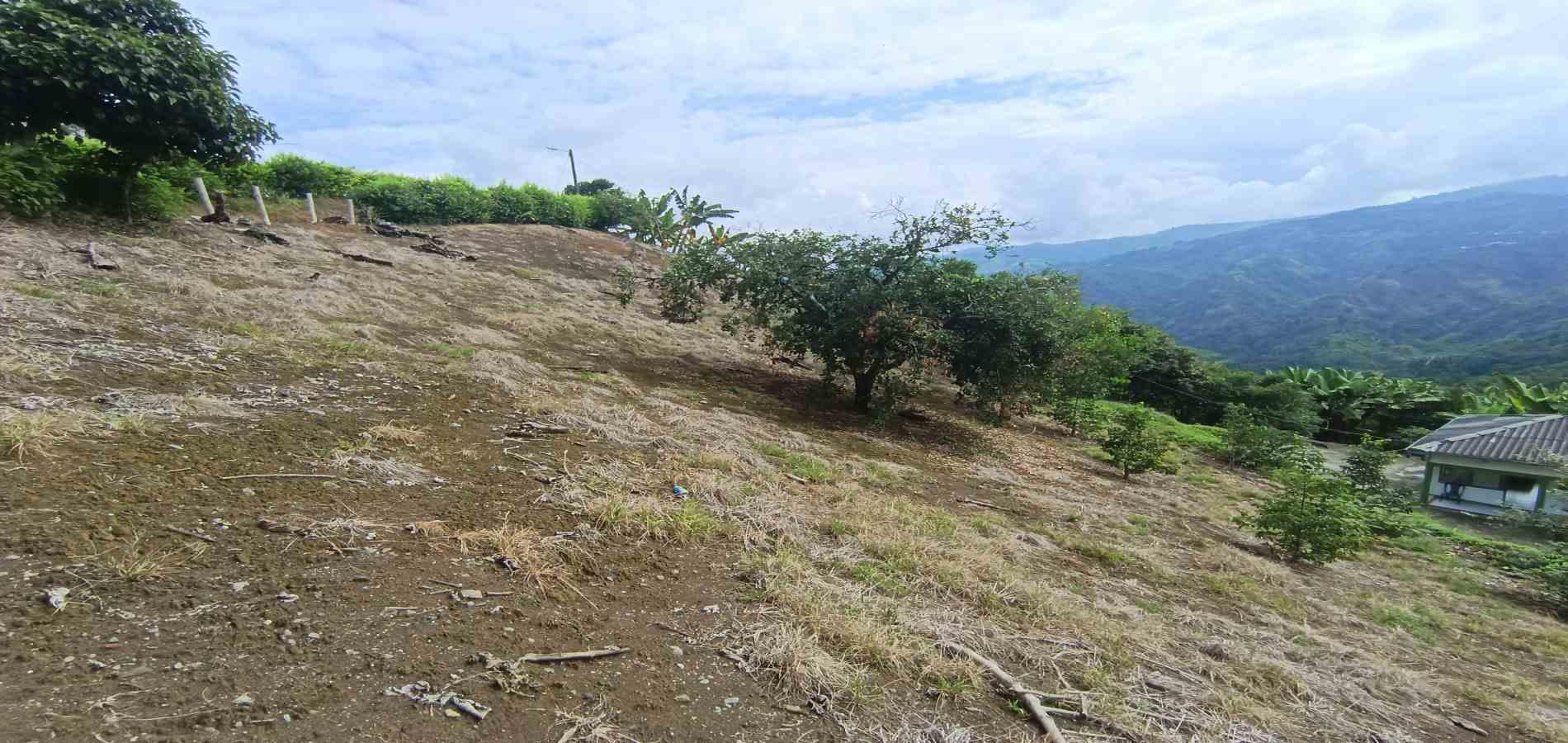 Foto de Casa en Venta en San peregrino, Manizales - 6 - 279070004