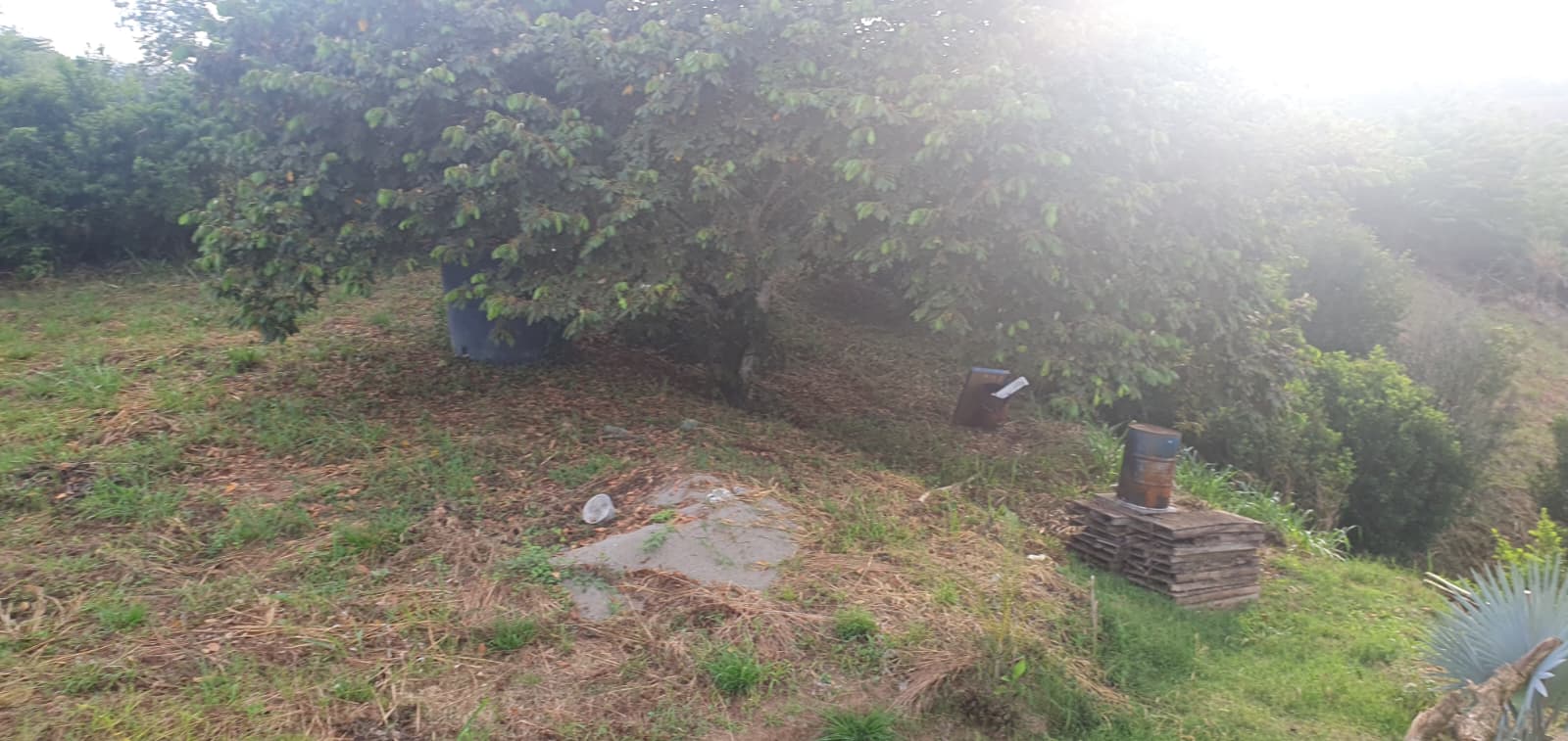 Foto de Lote / terreno en Venta en Cerritos, Pereira - 1 - 279068949