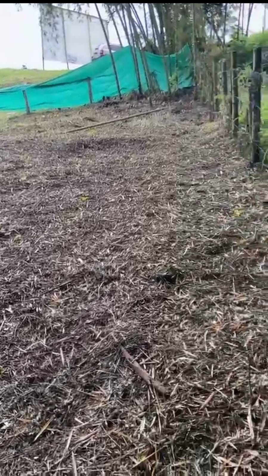 Foto de Lote / terreno para Venta en Via armenia, Pereira - 279066595