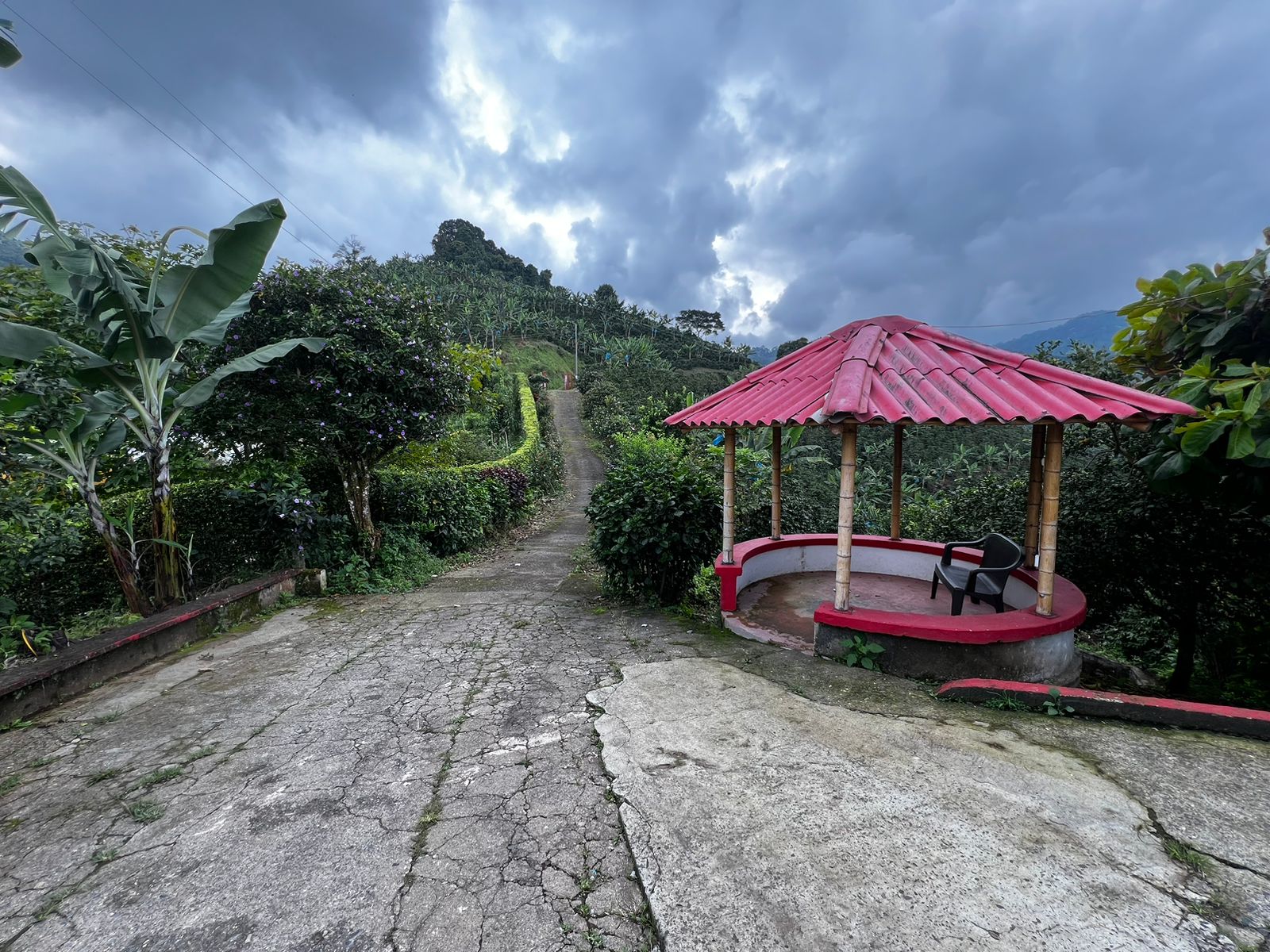 Foto de Finca para Venta en San vicente, Pereira - 279057869
