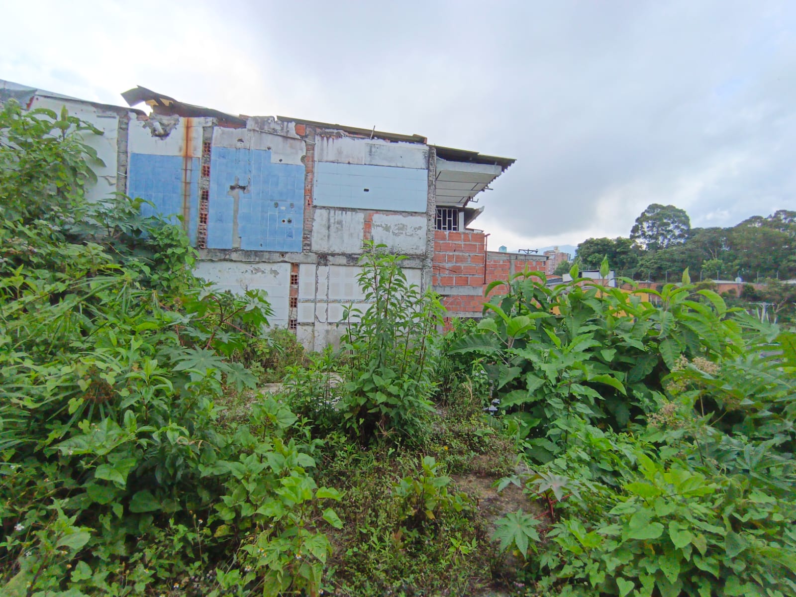 Foto de Lote / terreno en Venta en Fátima, Manizales - 9 - 279068979