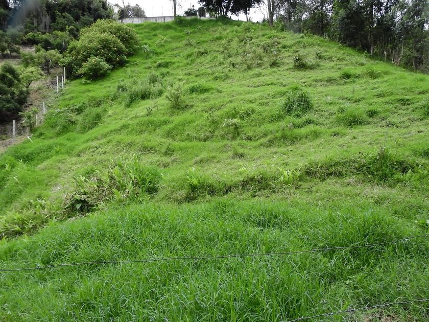 Foto de Lote / terreno en Venta en VillamarÍa, Villamaria - 16 - 279056144