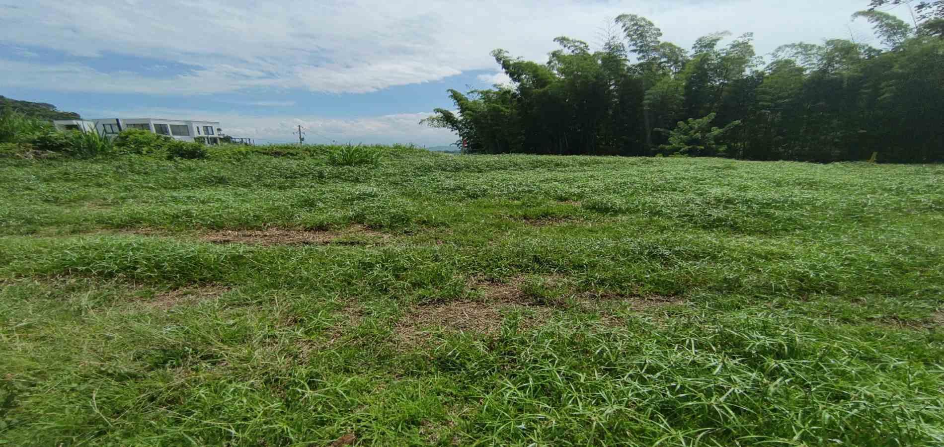 Foto de Lote / terreno en Venta en Vereda santagueda, Palestina - 13 - 279064609