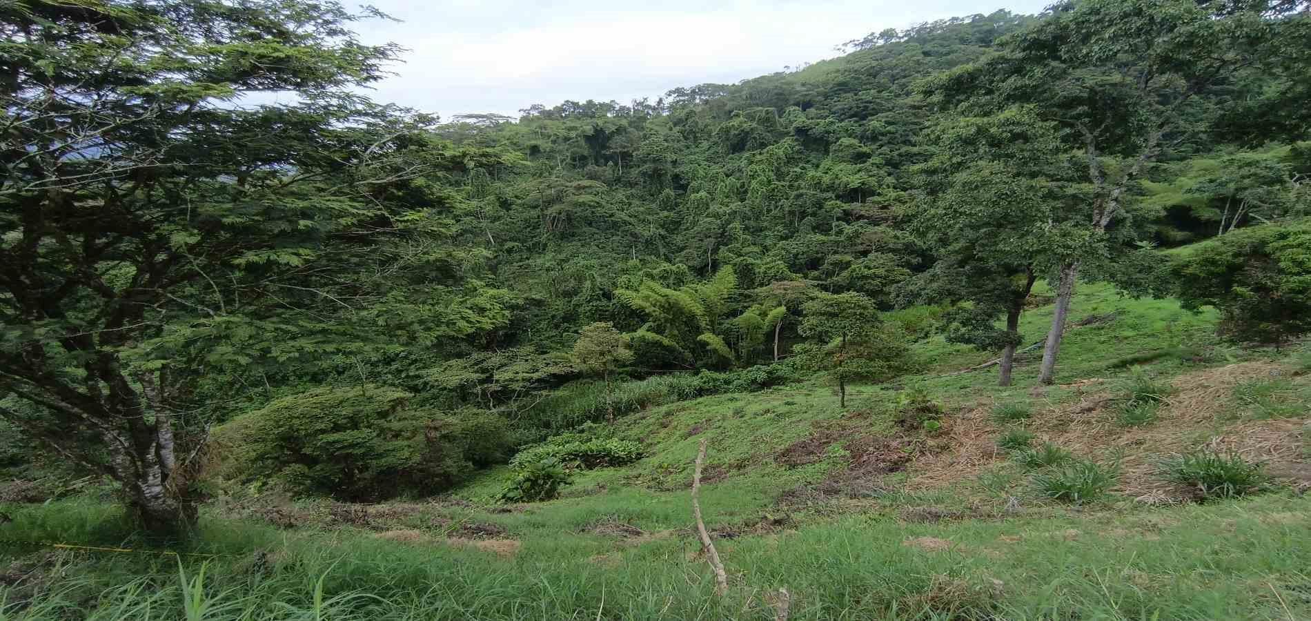 Foto de Lote / terreno en Venta en Vereda minitas , Manizales - 5 - 279068548