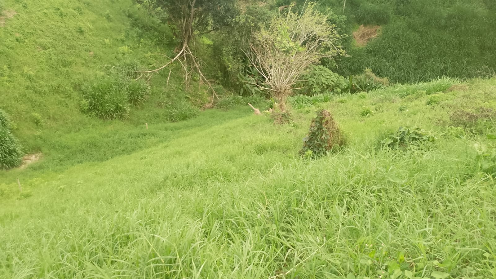 Foto de Lote / terreno en Venta en Filandia, Filandia - 15 - 279066842
