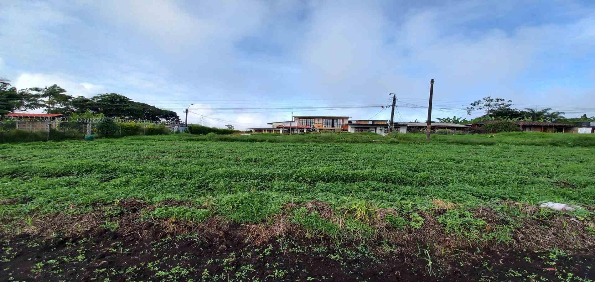 Foto de Lote / terreno para Venta en Vereda el lembo, Santa rosa de cabal - 279066290
