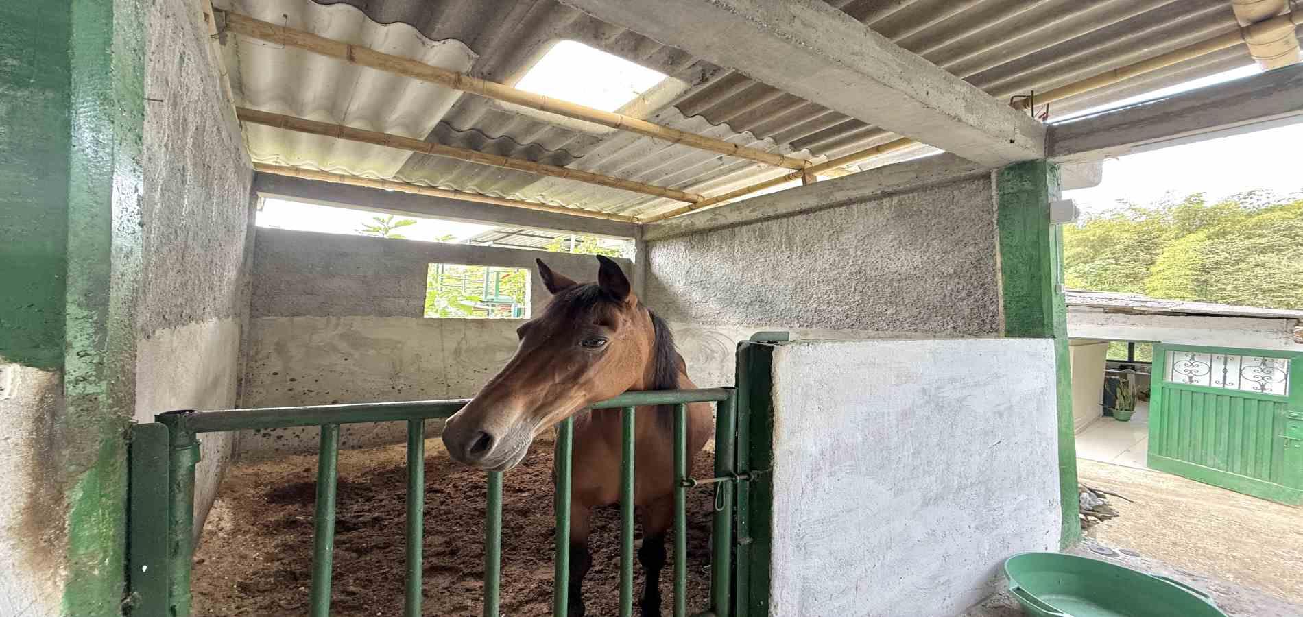 Foto de Finca en Venta en Agua azul, Dosquebradas - 7 - 279063271