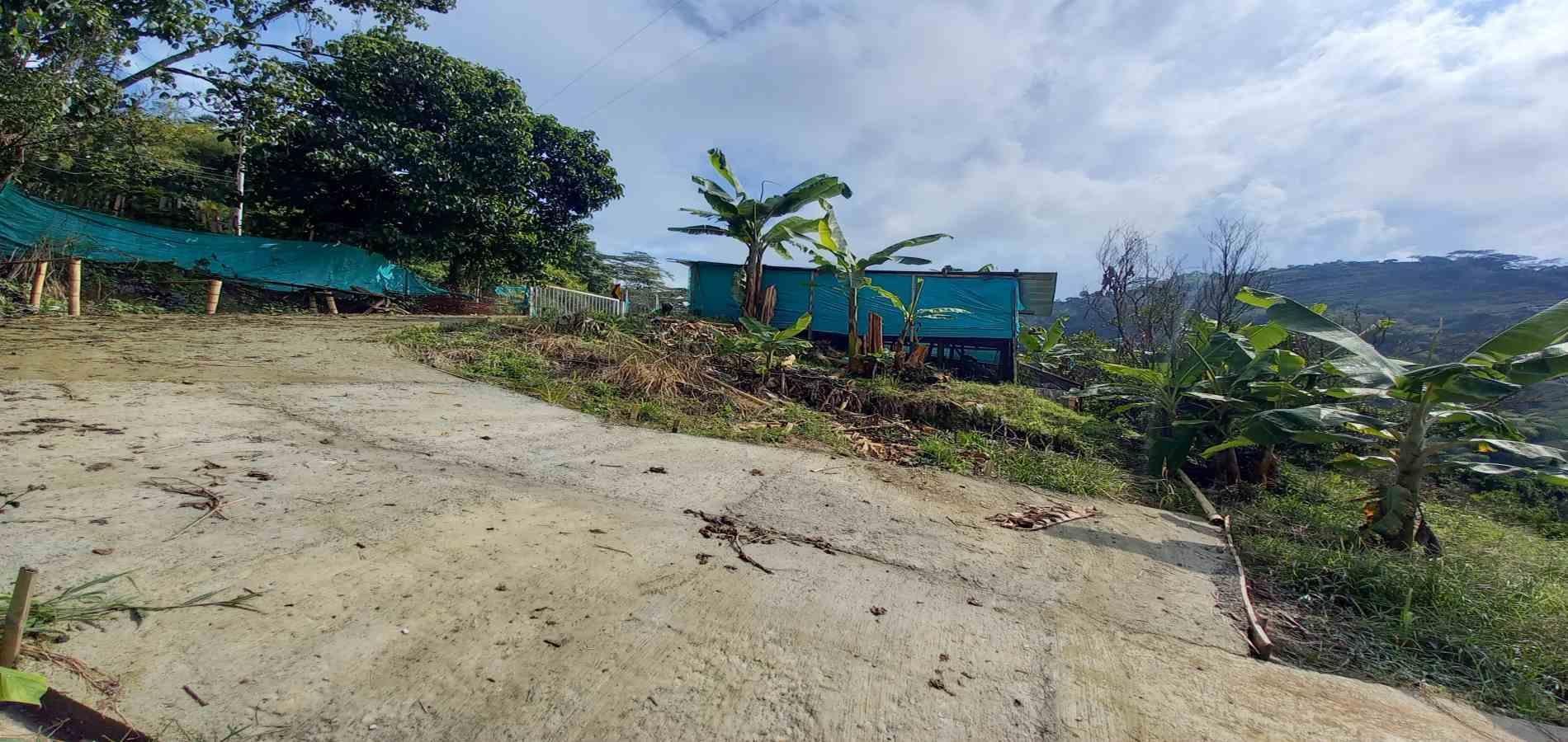 Foto de Finca en Venta en San peregrino, Manizales - 11 - 279061656