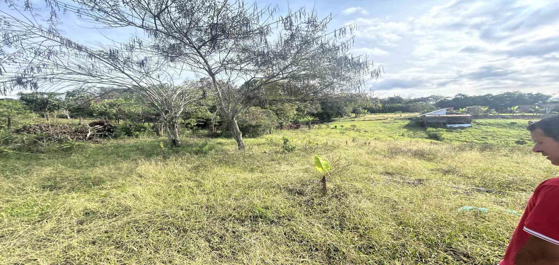 Foto de Lote / terreno en Venta en Cerritos / sector el tigre, Pereira - 1 - 279066751