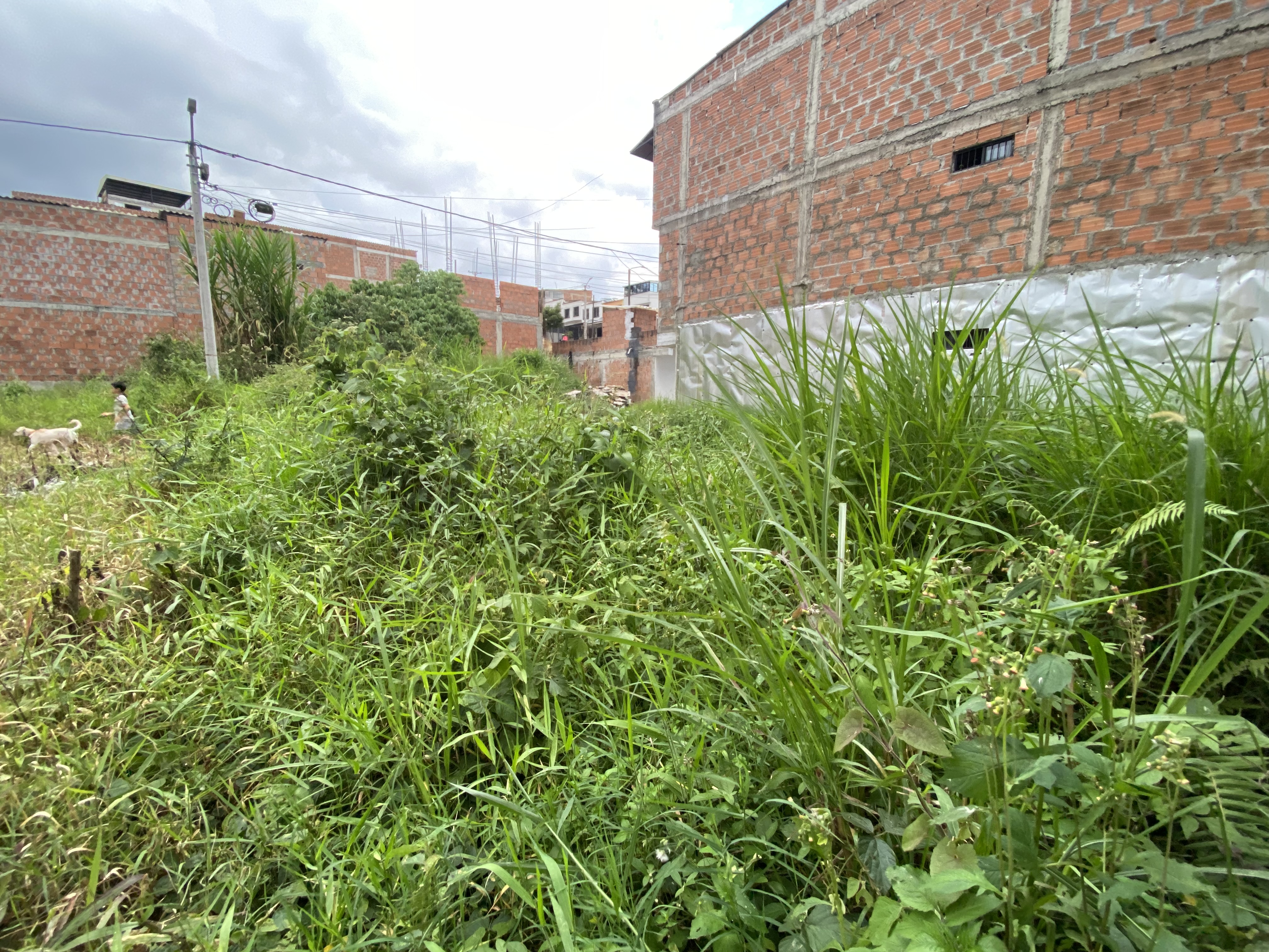 Foto de Lote / terreno en Venta en Colinas del bosque, Dosquebradas - 1 - 279066259