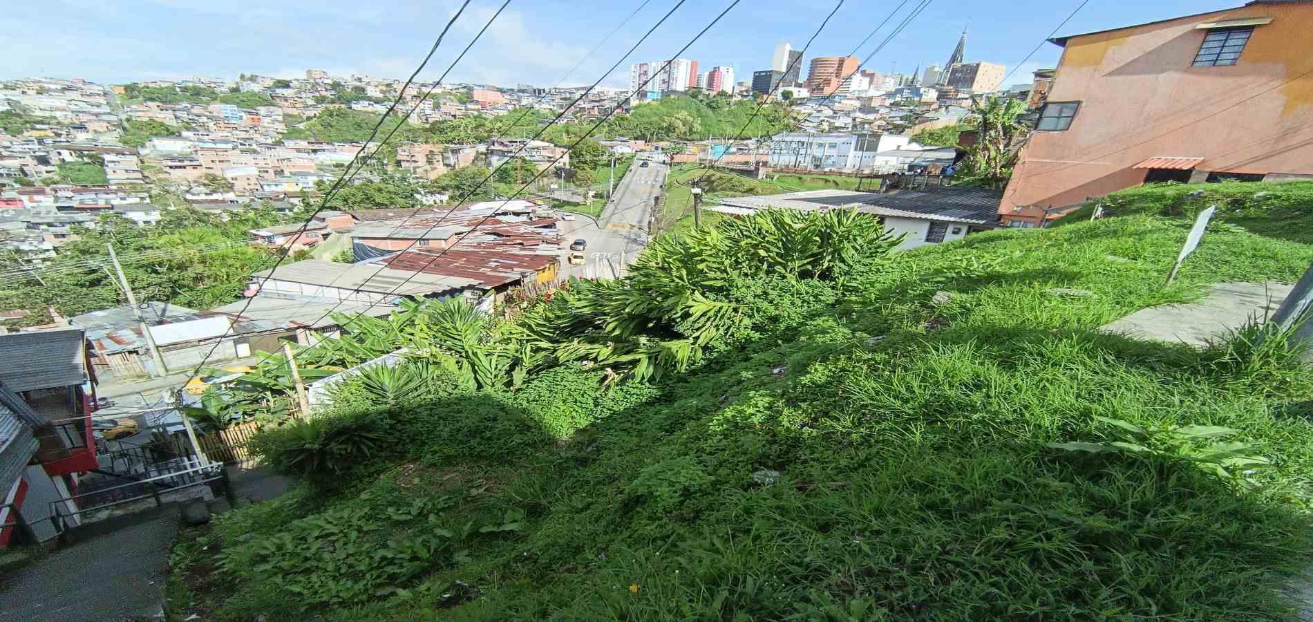 Foto de Lote / terreno en Venta en Campo amor, Manizales - 14 - 279067419