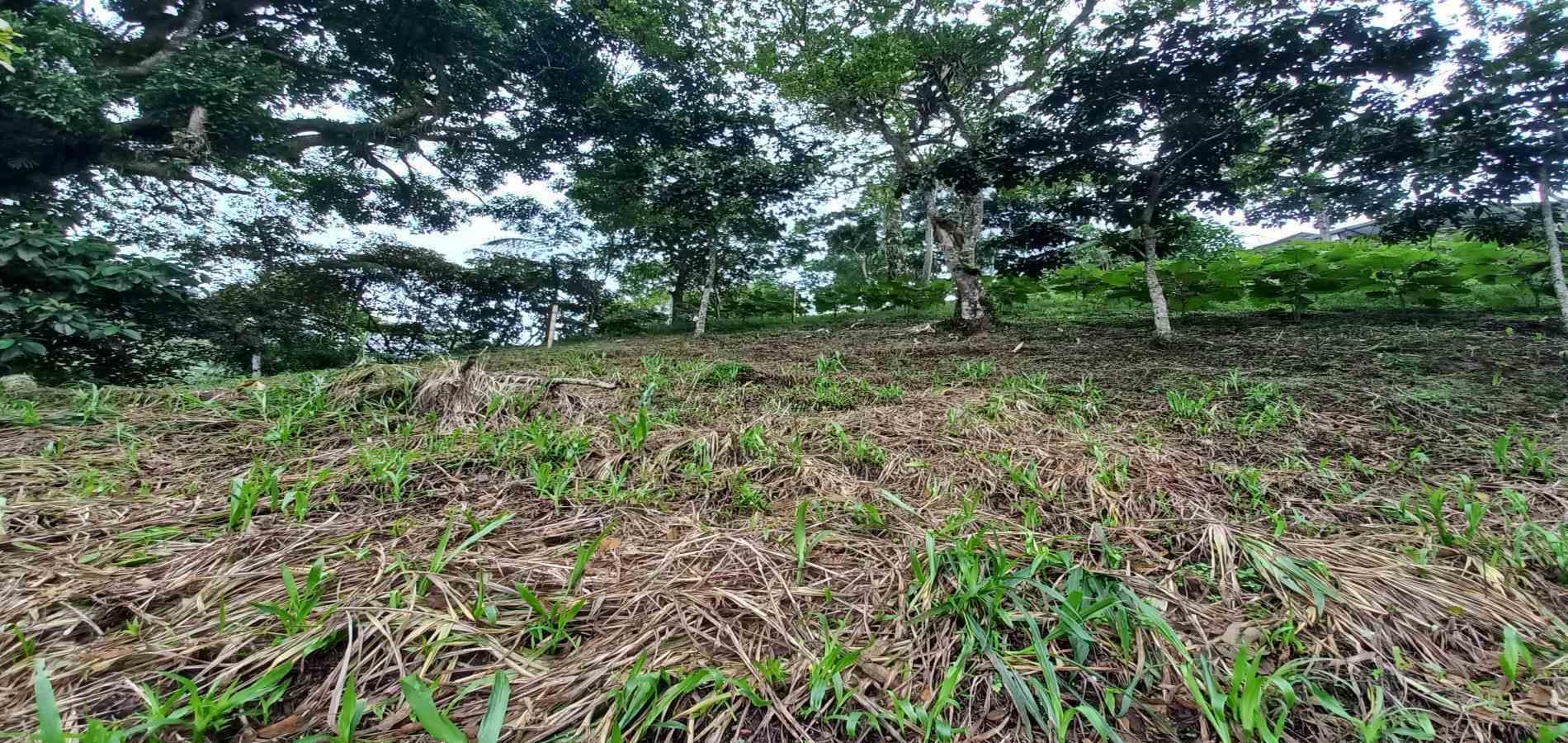 Foto de Lote / terreno en Venta en El bosque, Dosquebradas - 10 - 48802