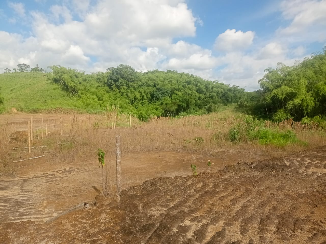 Foto de Lote / terreno en Venta en Via armenia, Pereira - 2 - 279052343