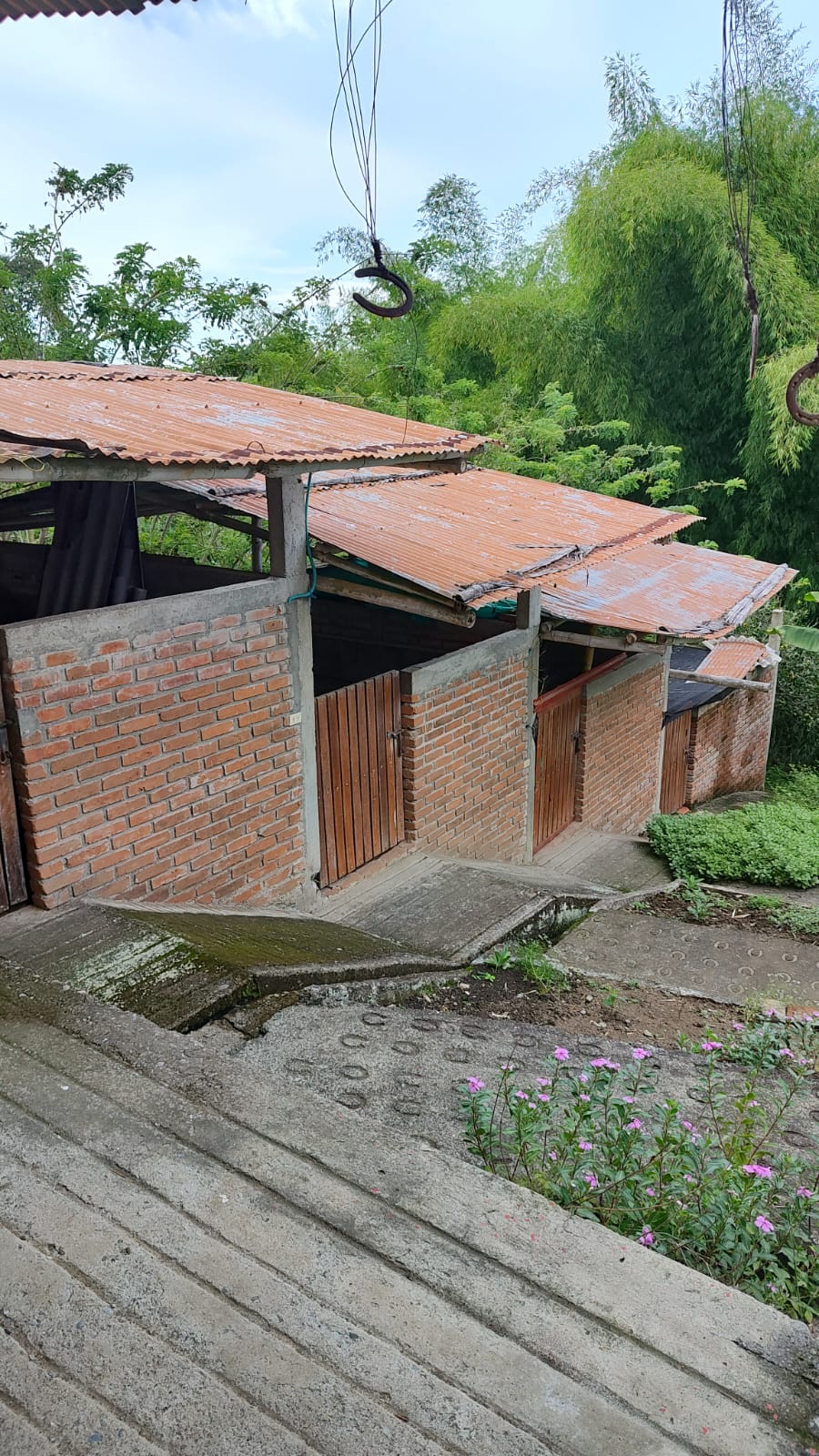 Foto de Finca en Venta en Via alcala, Armenia  - 14 - 279059945