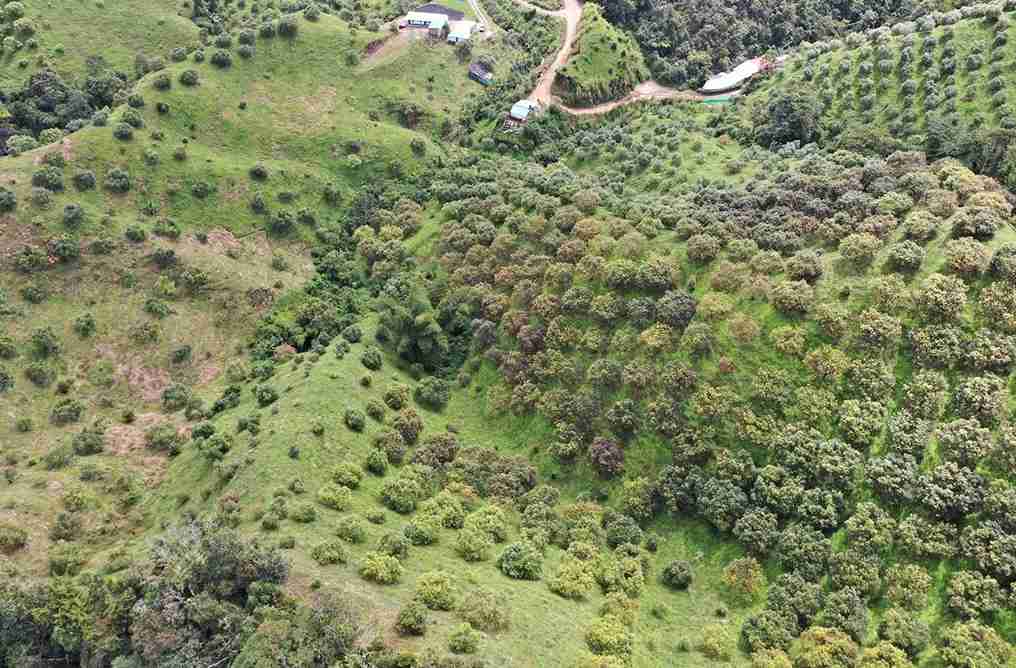 Foto de Finca en Venta en Vereda aguadita, Fresno - 8 - 279054270