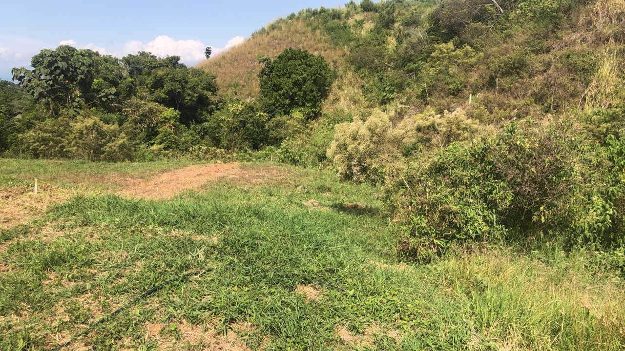 Foto de Lote / terreno en Venta en Centro, Pereira - 12 - 279055598