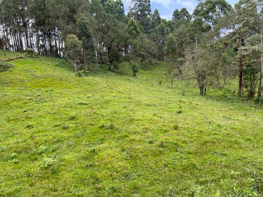 Foto de Lote / terreno en Venta en Via armenia, Pereira - 17 - 279066674