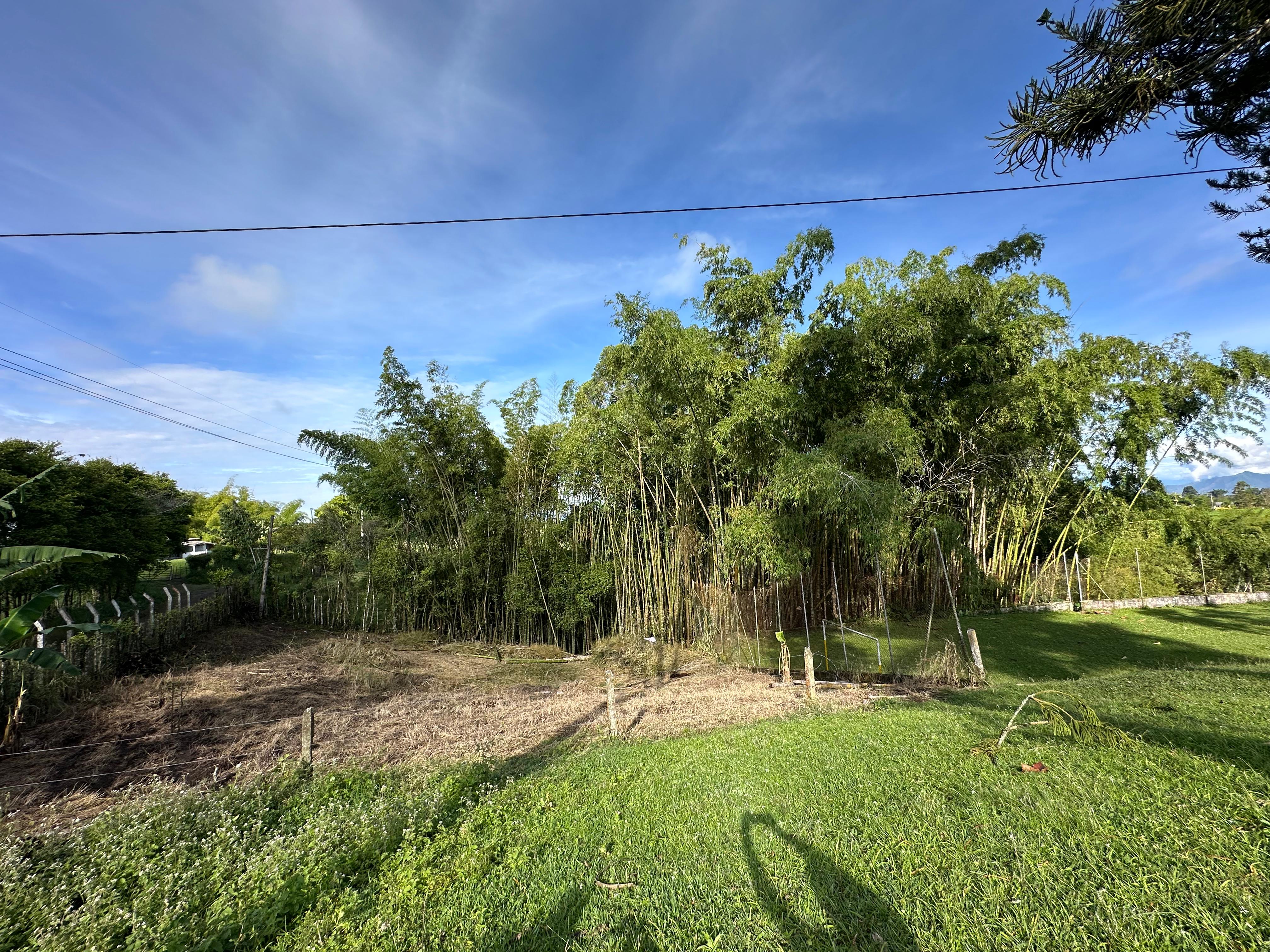 Foto de Finca en Venta en Alto alegrias, Pereira - 10 - 279065672