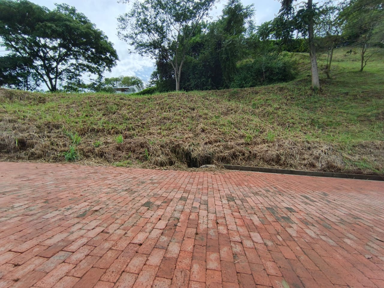 Foto de Lote / terreno en Venta en Condominio campestre reserva del campo, Manizales - 16 - 279064110