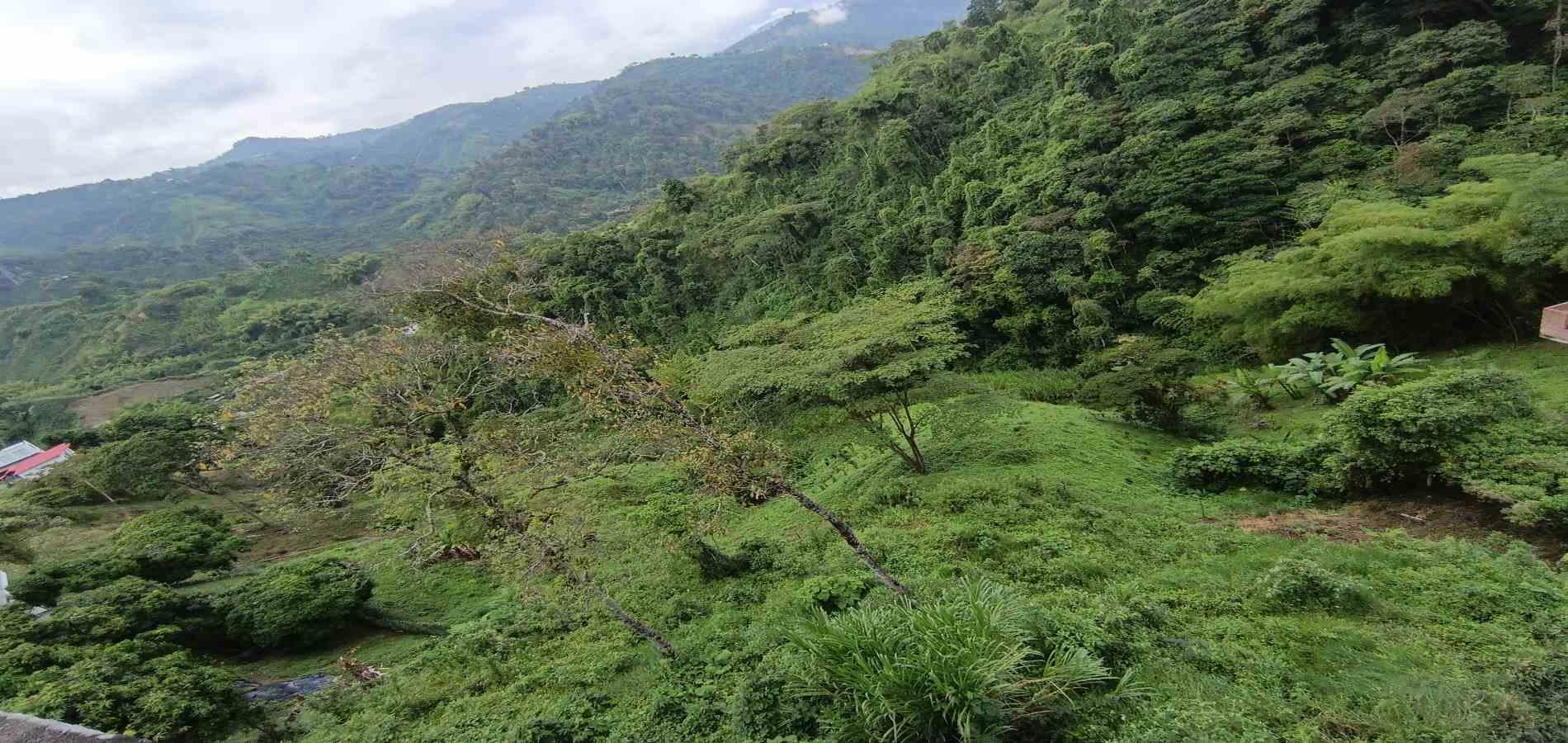 Foto de Lote / terreno en Venta en Vereda minitas , Manizales - 18 - 279068548