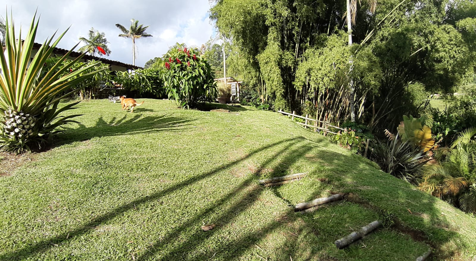 Foto de Casa campestre en Venta en Santa rosa de cabal, Santa rosa de cabal - 1 - 53172