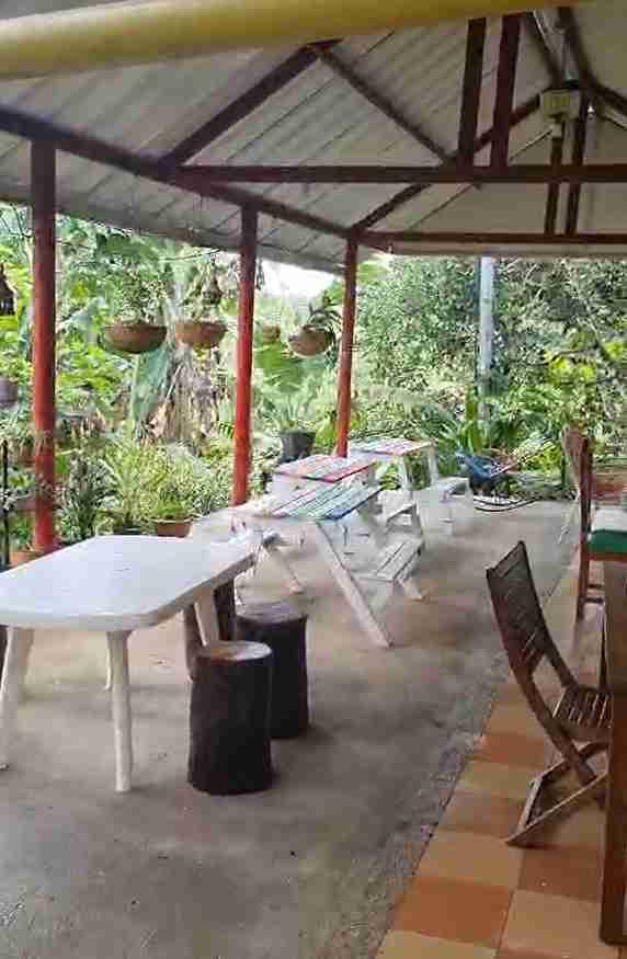 Foto de Casa campestre en Venta en Vereda la quiebra, Norcasia - 2 - 279060627