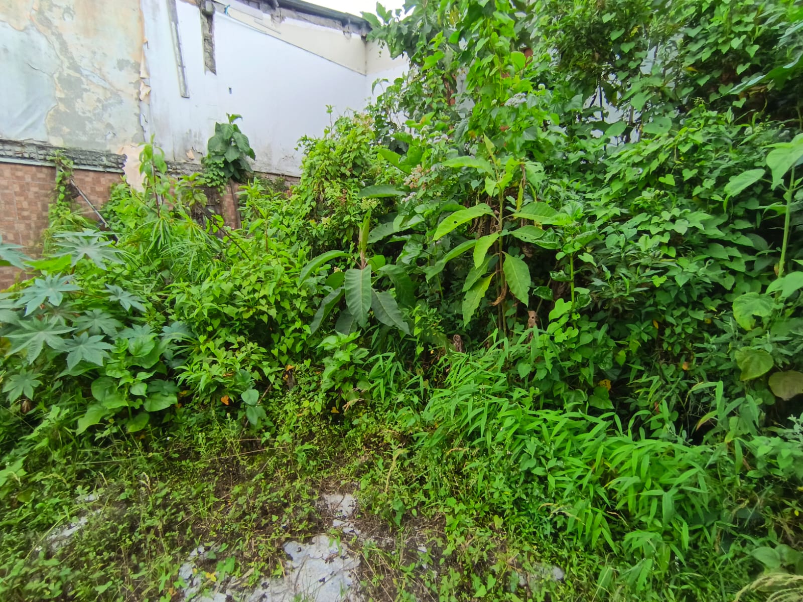 Foto de Lote / terreno en Venta en Fátima, Manizales - 5 - 279068979