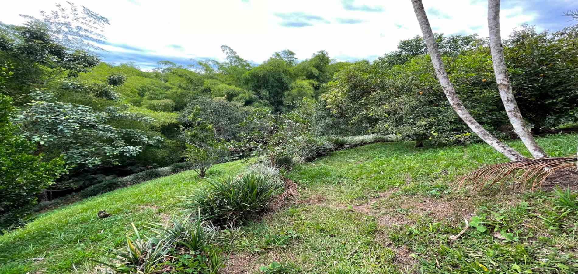 Foto de Casa en Arriendo en Tres puertas, Pereira - 15 - 279069265