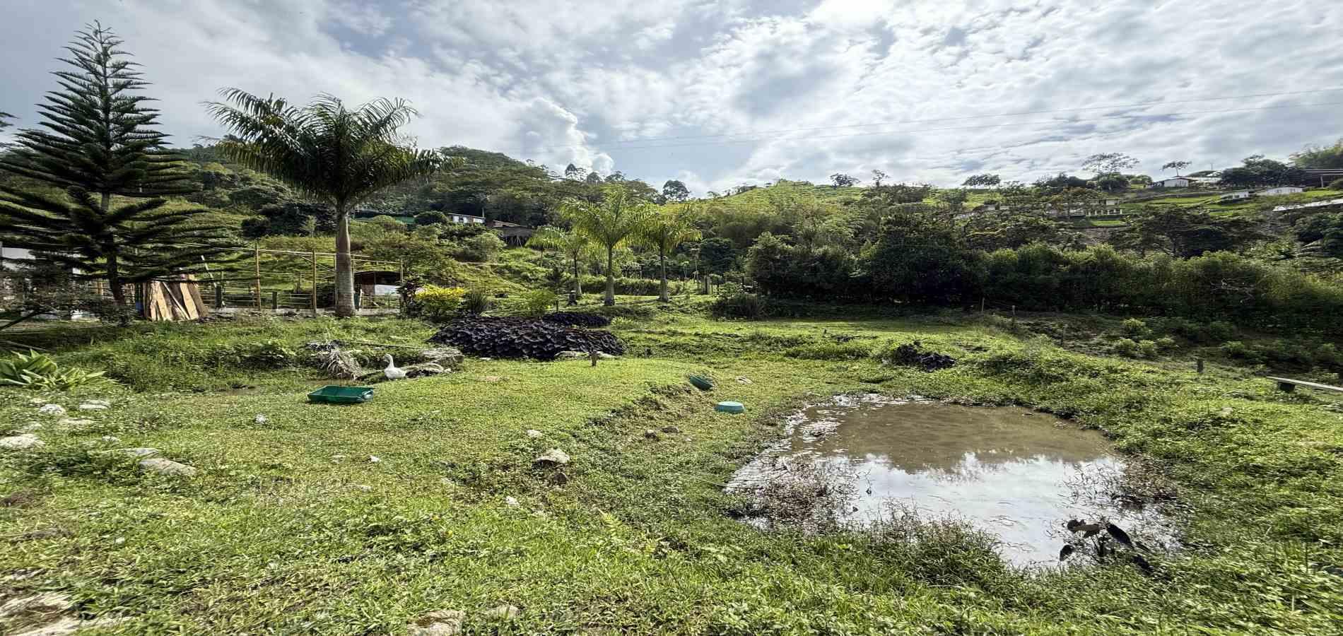 Foto de Finca en Venta en Agua azul, Dosquebradas - 42 - 279063271