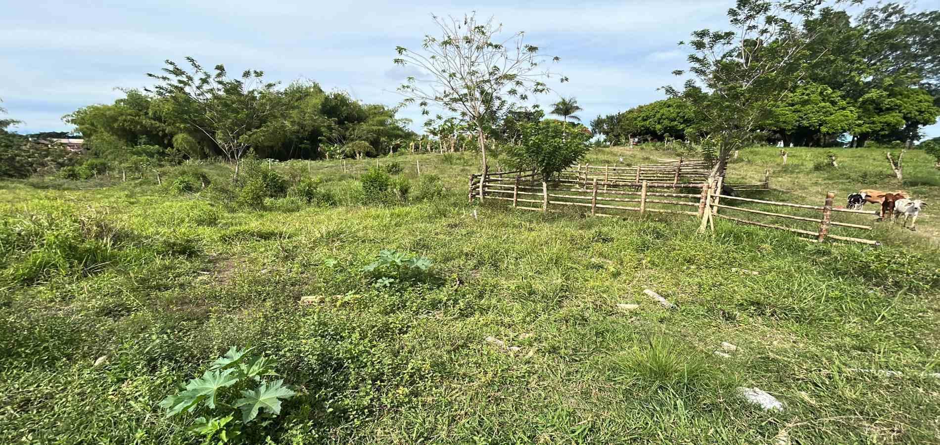 Foto de Lote / terreno en Venta en Cerritos, Pereira - 8 - 279068090