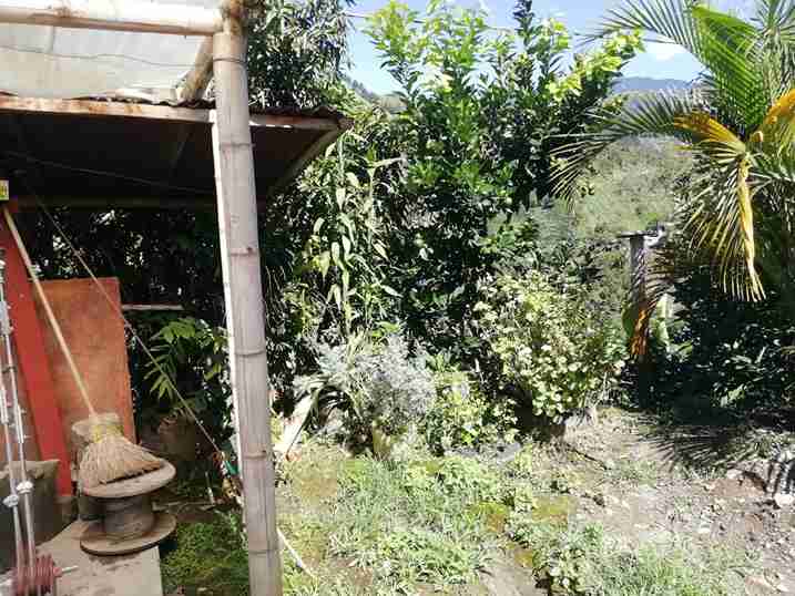 Foto de Finca en Venta en Vereda la esmeralda , Manzanares - 37 - 279057445
