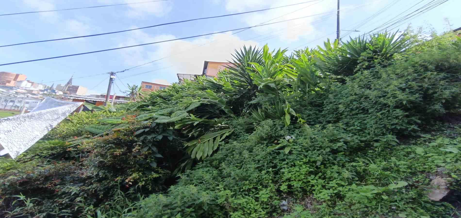 Foto de Lote / terreno en Venta en Campo amor, Manizales - 1 - 279067419