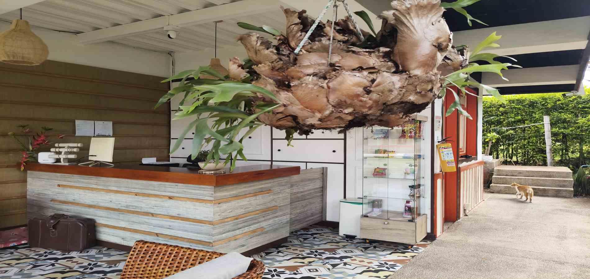 Foto de Edificio de apartamentos en Venta en El caimo, Armenia  - 38 - 279068108