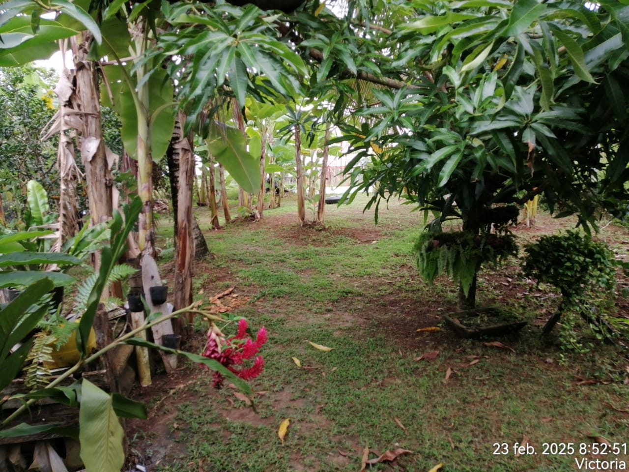 Foto de Finca en Venta en Victoria, Victoria - 28 - 279061622