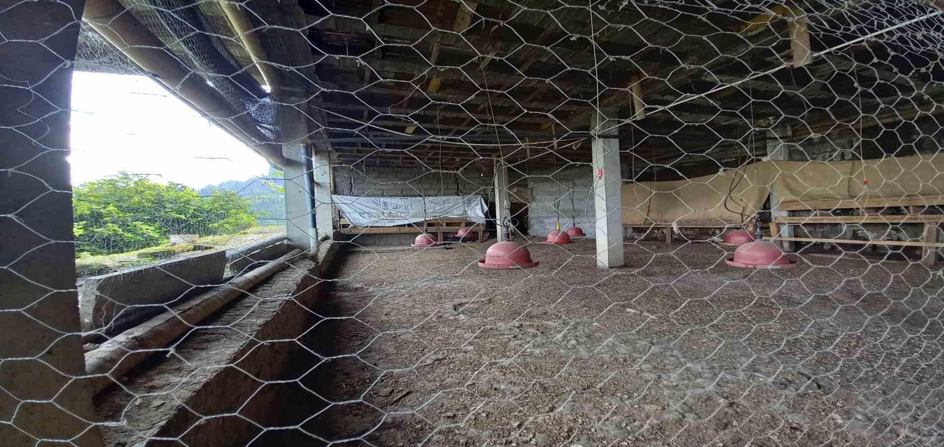 Foto de Finca en Venta en La aurora, Manizales - 5 - 279062192