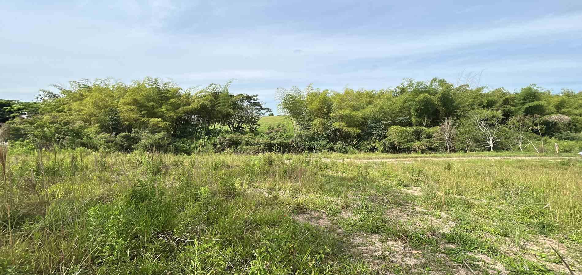 Foto de Lote / terreno en Venta en Cerritos, Pereira - 10 - 279068066