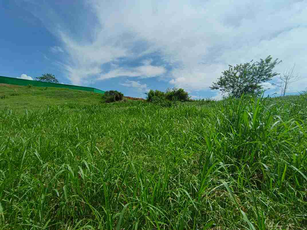 Foto de Lote / terreno en Venta en Vereda santagueda, Palestina - 9 - 279064397