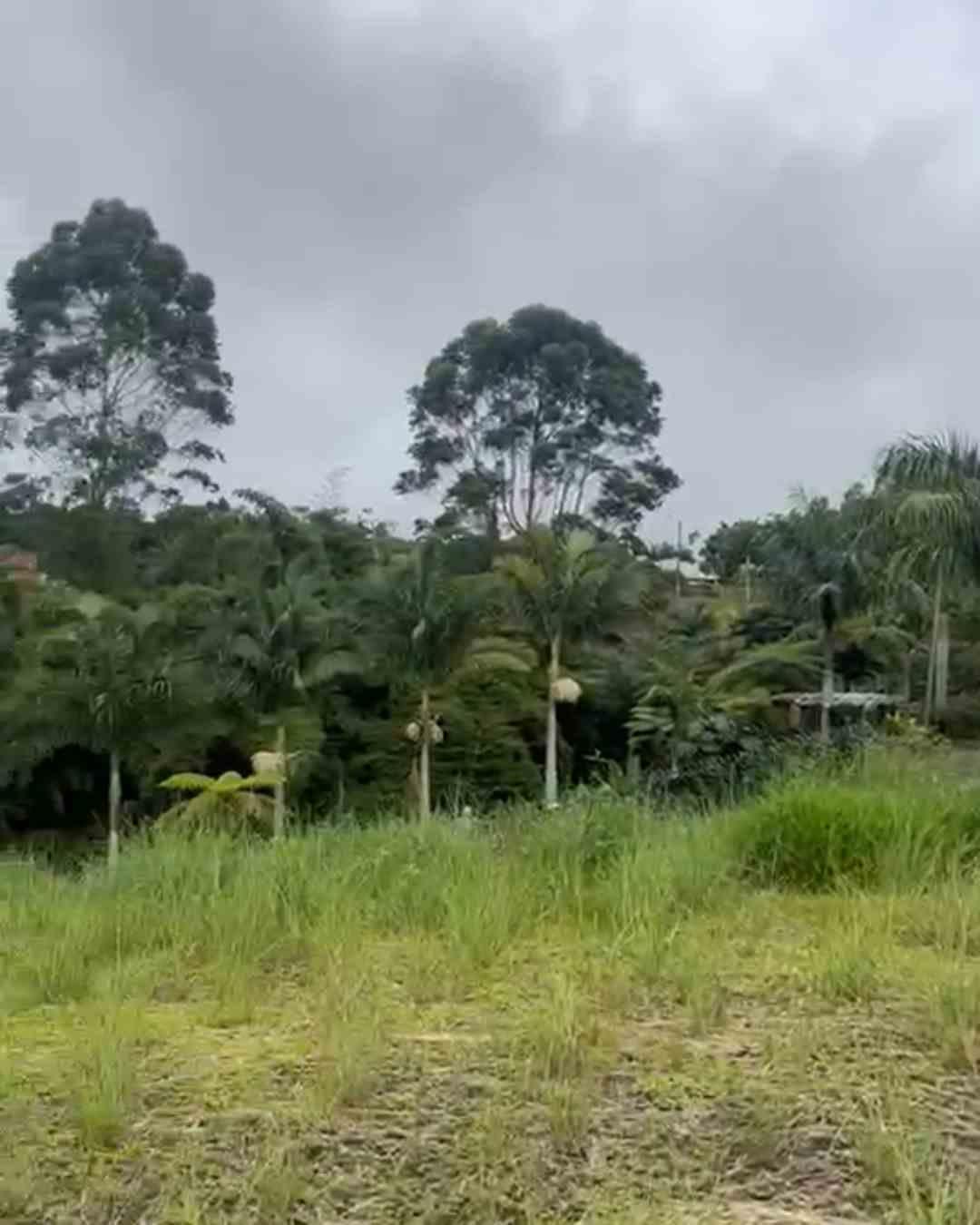 Foto de Lote / terreno para Venta en Via armenia, Pereira - 279063098