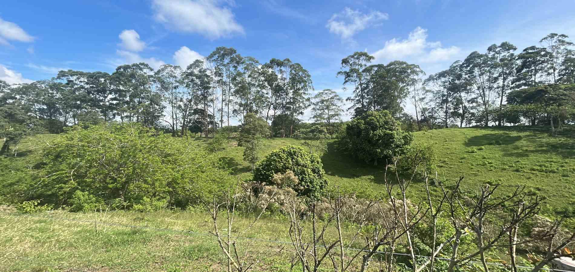 Foto de Lote / terreno en Venta en Via alcala, Pereira - 6 - 279066756