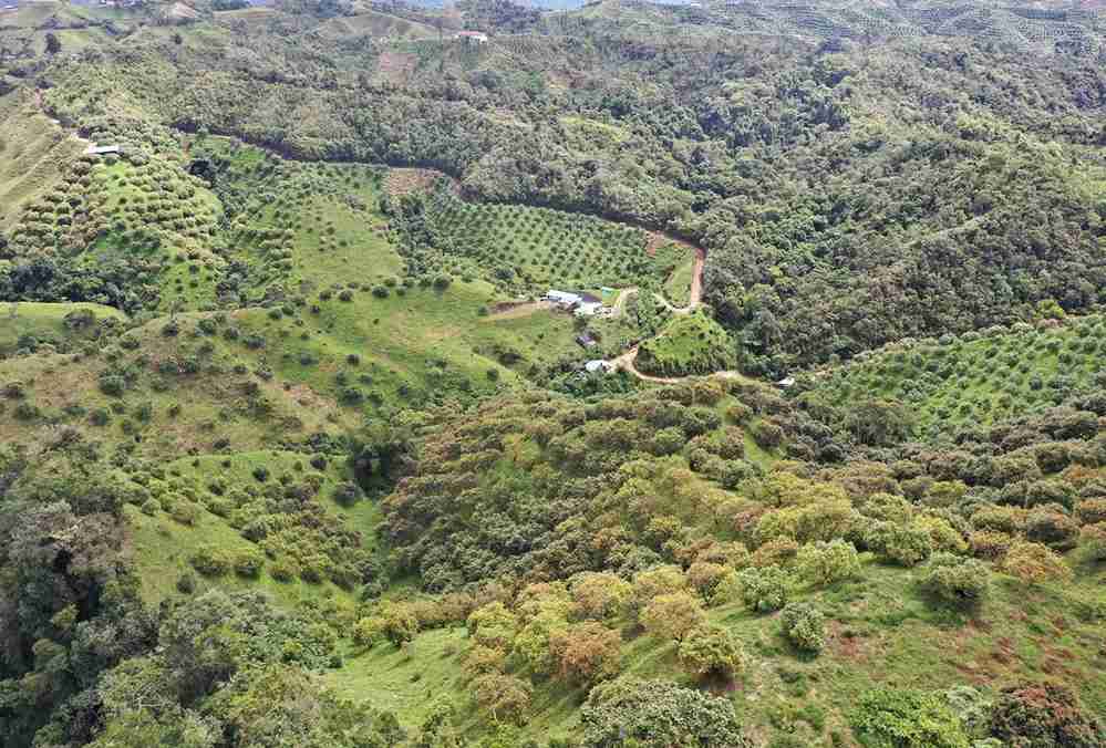 Foto de Finca en Venta en Vereda aguadita, Fresno - 7 - 279054270
