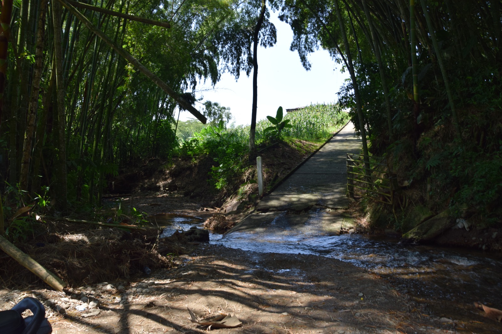 Foto de Finca en Venta en La cabaña, Manizales - 14 - 279058352