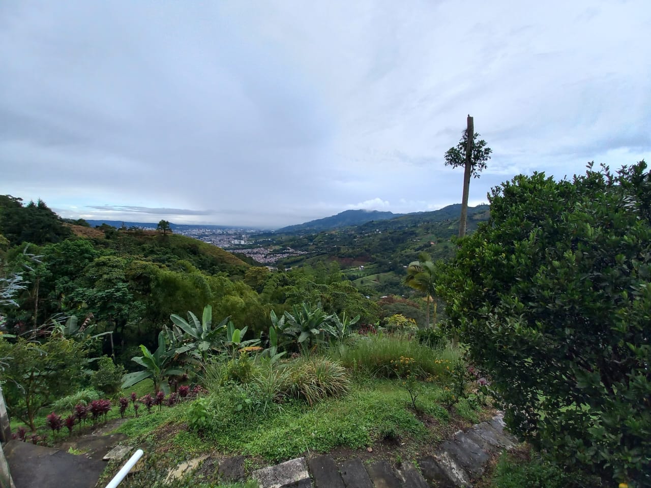 Foto de Finca en Venta en Vereda la esperanza, Manizales - 18 - 279012878