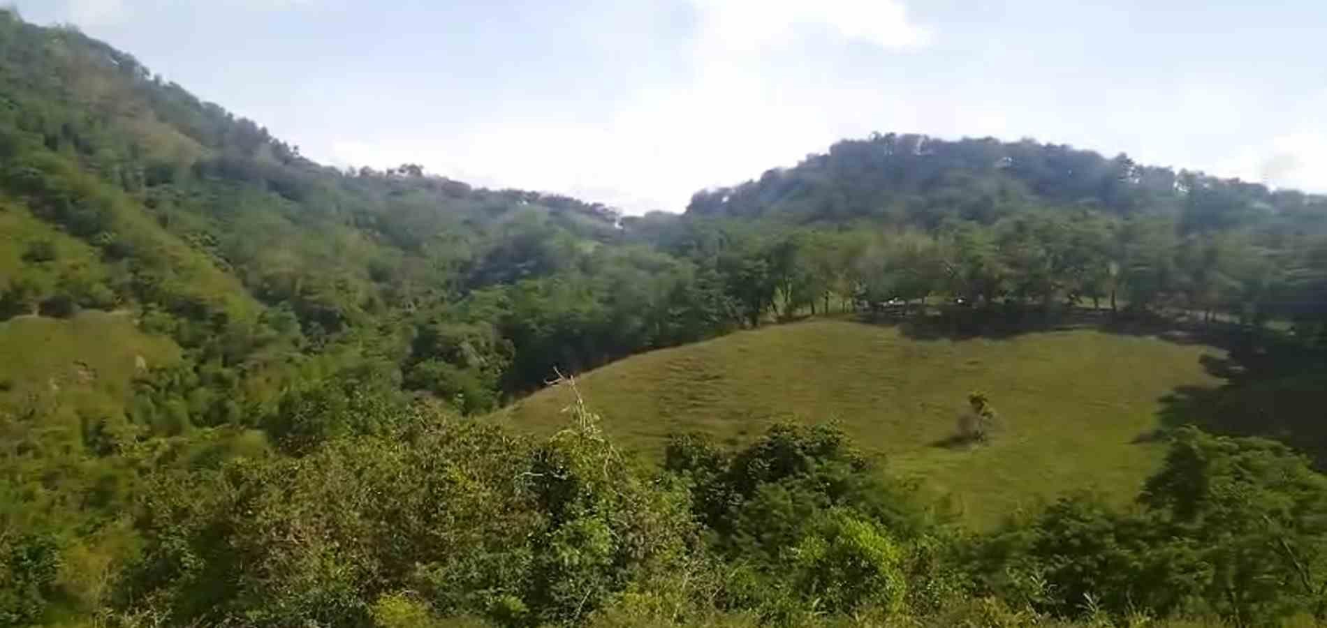Foto de Finca en Venta en La florida, Filadelfia - 4 - 279064213