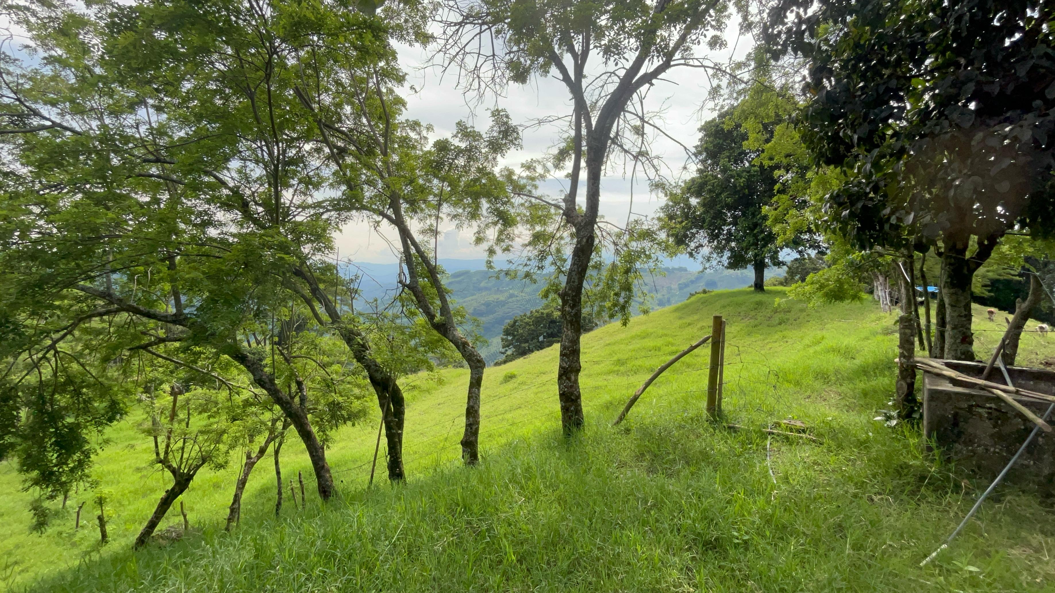 Foto de Finca en Venta en La cabaña, Manizales - 24 - 279062726