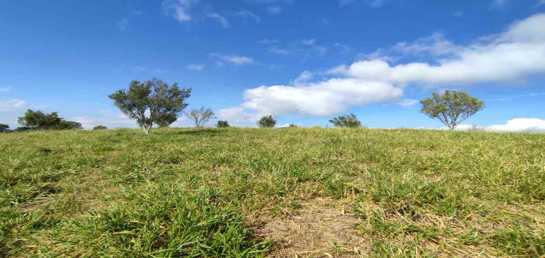 Foto de Lote / terreno en Venta en Cerritos, Pereira - 7 - 279064552