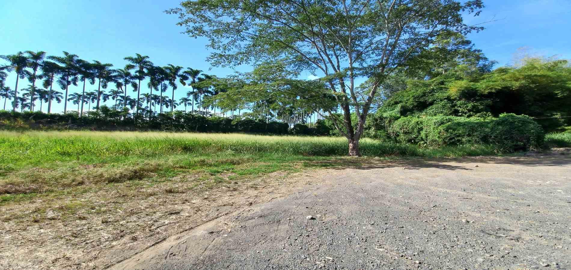 Foto de Lote / terreno en Venta en Cerritos, Pereira - 5 - 279069860