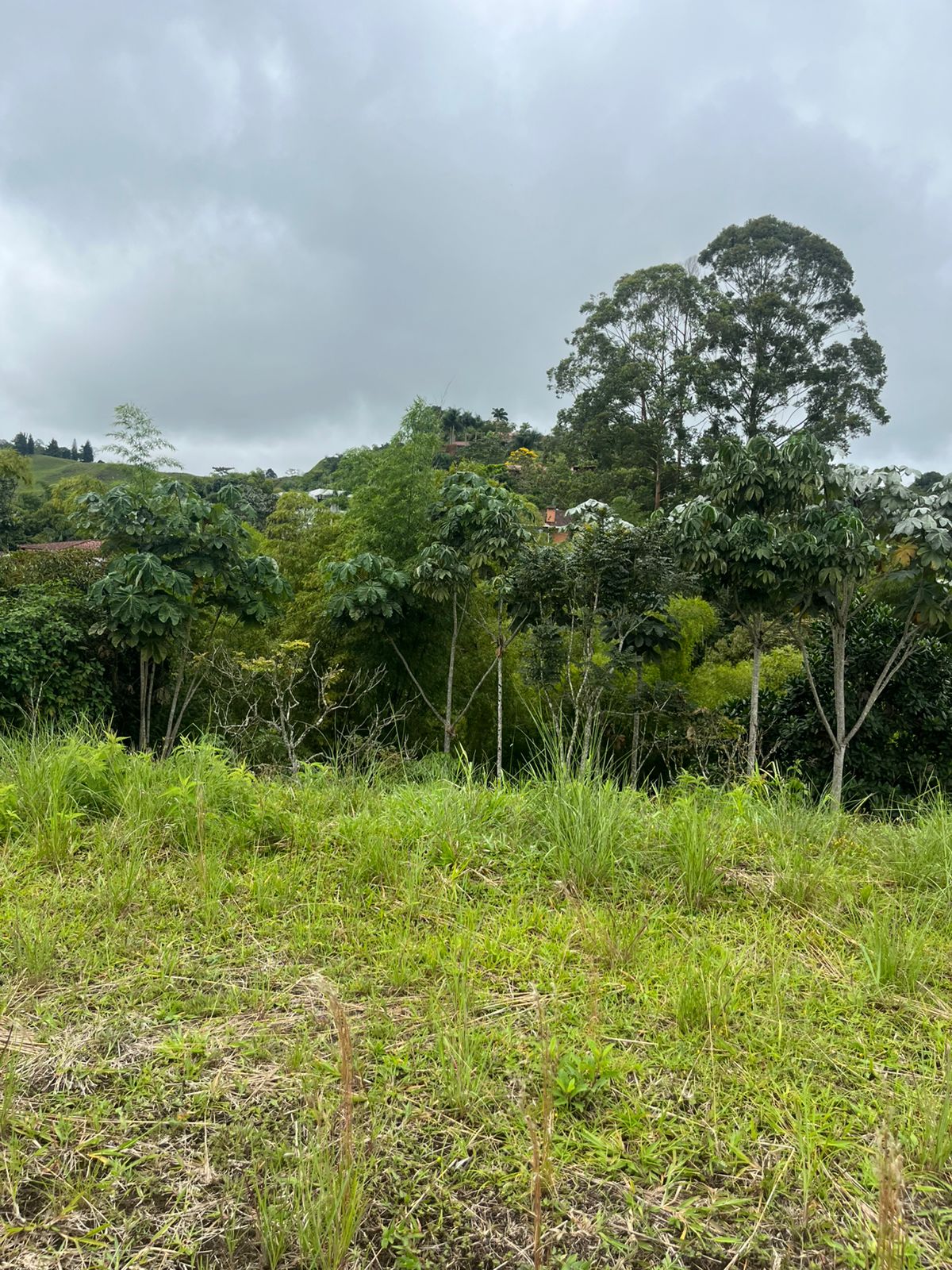 Foto de Lote / terreno en Venta en Condina, Pereira - 5 - 279063086
