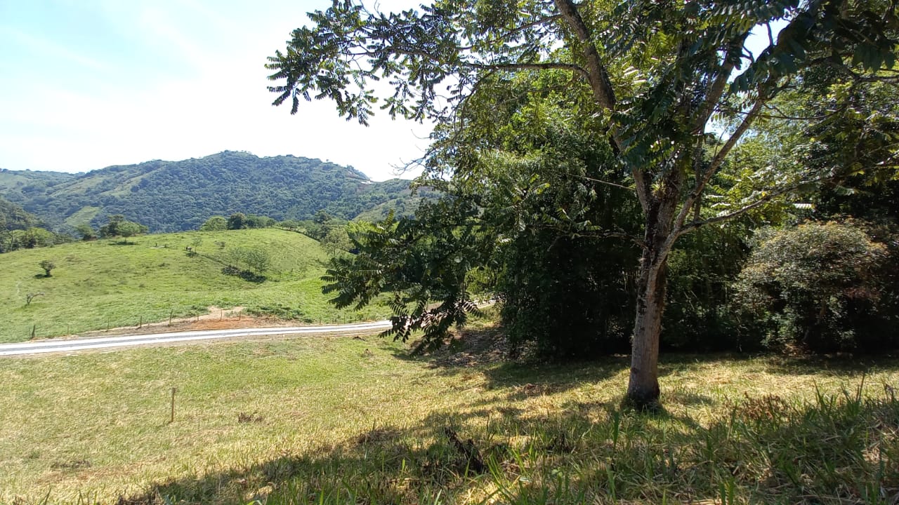 Foto de Lote / terreno en Venta en Vereda santagueda, Palestina - 2 - 279058796